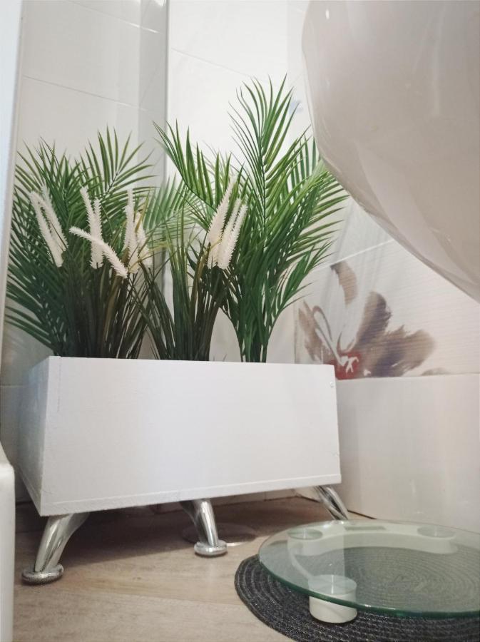 Domus Pio XI Bed & Breakfast Rome Exterior photo